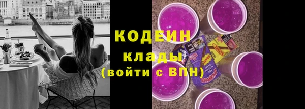 метадон Ельня