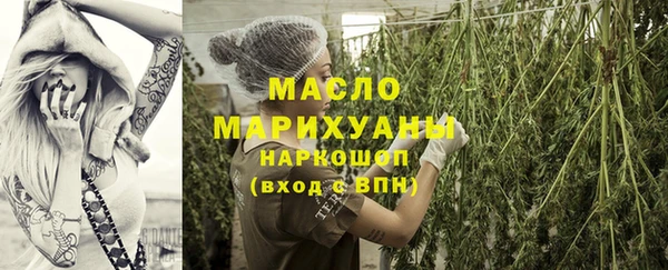 метадон Ельня
