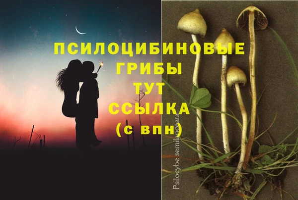 круглые Елизово