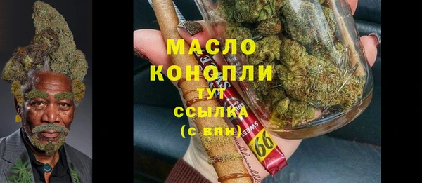 метадон Ельня